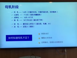 -海豚湾高端月子会所(黄浦店)