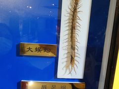 -上海昆虫博物馆