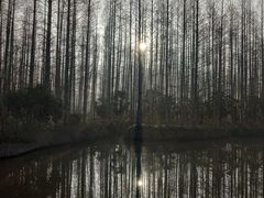 -上海怡沁园度假酒店