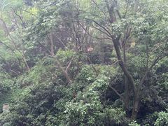 -天目湖御水温泉·度假酒店