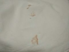 -莫泰酒店(上海市北工业园区江场西路店)