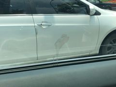 -天猫养车贴膜轻改·蓝电(优匹康桥东路店)