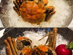 -柒厢食事雅谈