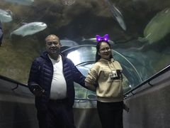 -大连圣亚海洋世界