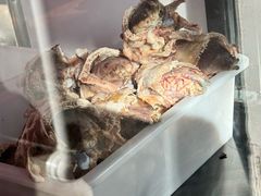 -洪记白水羊头(天坛店)