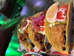 -Famous肥猫墨西哥音乐餐吧(五棵松华熙LIVE店)