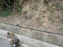 -黔灵山公园