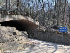 -上海佘山国家森林公园天马山园