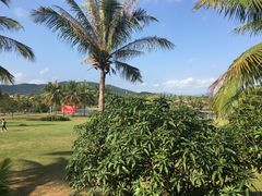 -三亚珠江南田温泉度假区