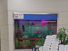 -雅悦齿科(顾村公园店)