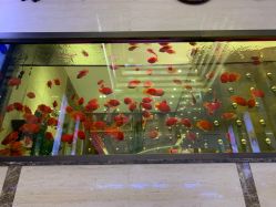 -中国黄金(北京旗舰店)