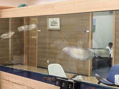 -上海吉涛生物科技有限公司