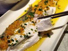 金椒酱蒸太湖大白鱼(半片)-上和臻品中国菜(花园街店)