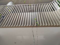 -都江堰普照寺