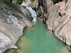 -广州白江湖森林公园