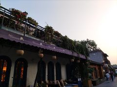 -Sirena海妖日咖夜酒