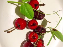 樱桃鹅肝-小大董·烤鸭(凤凰汇店)