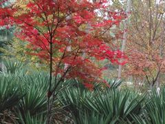 -西安汉城湖景区