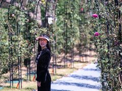 -福建鲤鱼洲酒店