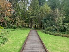 -昆山城市生态森林公园