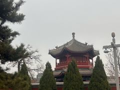 -西海子公园