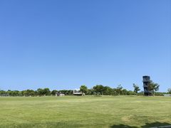 -春花秋色城市公园