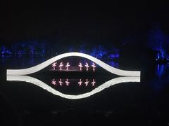 -印象西湖·最忆是杭州实景演出