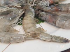 -韩风烤牛肉冷面店