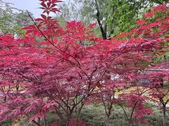 -长乐公园游乐场