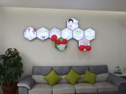 -莱可美科技美肤