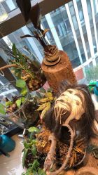 -周忆刺青原创设计定制