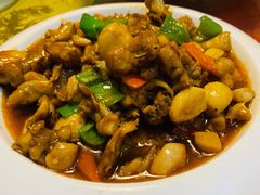 干锅牛蛙-金锅小厨(乐活街店)