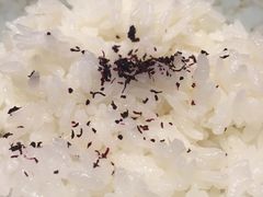 招福套餐-活伊势龙虾料理 中纳言(千日前味乐馆店)