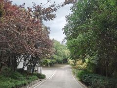 -南京市江宁方山