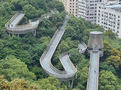 -福道