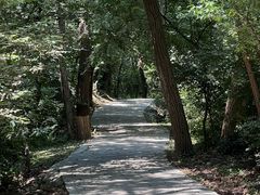 -金龙寺国家森林公园