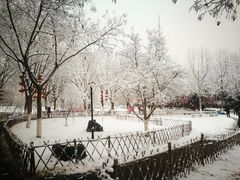 -丰台科技园生态主题公园