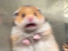 -大叔家福鼎小吃(十全街店)