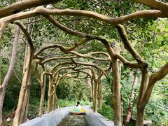 -沂蒙山旅游区云蒙景区(蒙山国家森林公园)