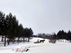 -北极村旅游风景区