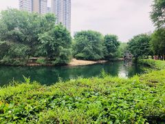 -长白岛森林公园