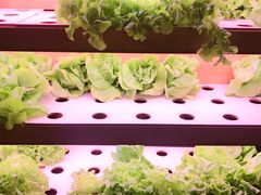 -满堂欢豆捞坊(美丽华大酒店店)