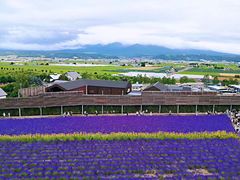 -富田农场