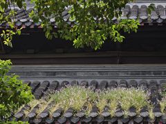 -大明寺素斋