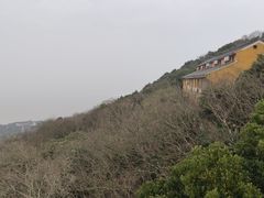 -普陀山慧济禅寺