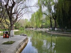 -西安市长乐公园