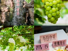 -上海嘉定喜来登酒店