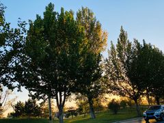 -瀛海足球主题公园