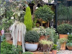 -自由生长植物工作室(深港花卉中心店)