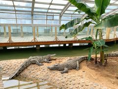 -石家庄市动物园